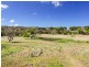 34 Blakiston Road, Blakiston SA 5250