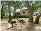73 Sawpit Gully Road, Dawesley SA 5252