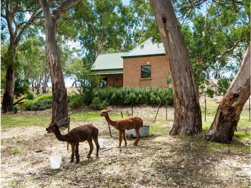 73 Sawpit Gully Road, Dawesley SA 5252