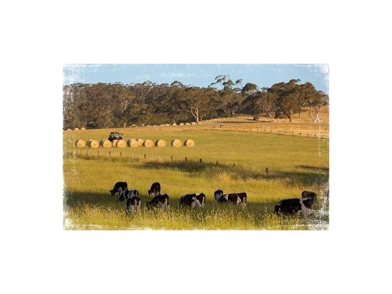 Lot 7 Expedition Boulevard, Meadows SA 5201