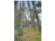 17 Fern Road, Crafers West SA 5152