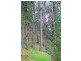 17 Fern Road, Crafers West SA 5152