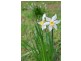 17 Fern Road, Crafers West SA 5152