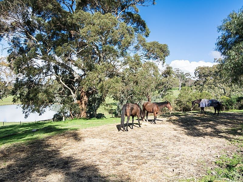 147 Greenhills-Flaxley Road, Flaxley SA 5153