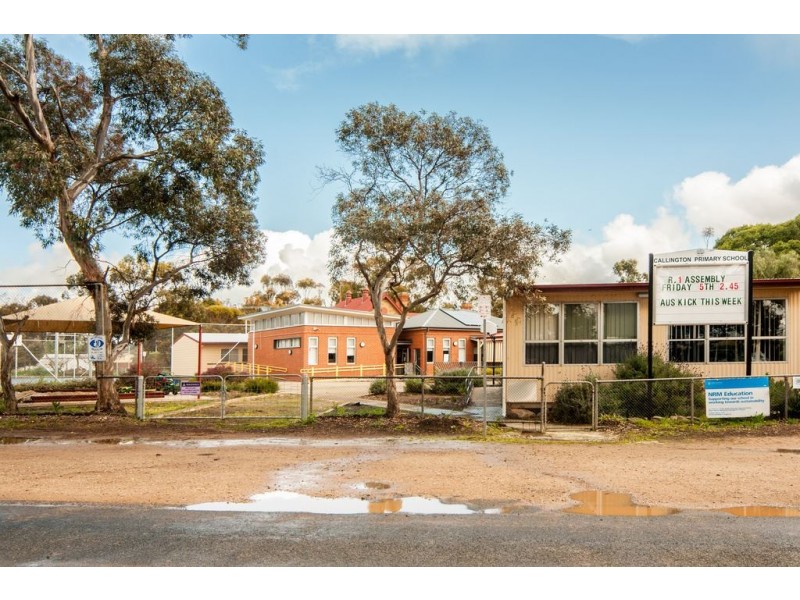 36 Murray Street, Callington SA 5254