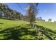 52 Jacobs Road, Cherry Gardens SA 5157