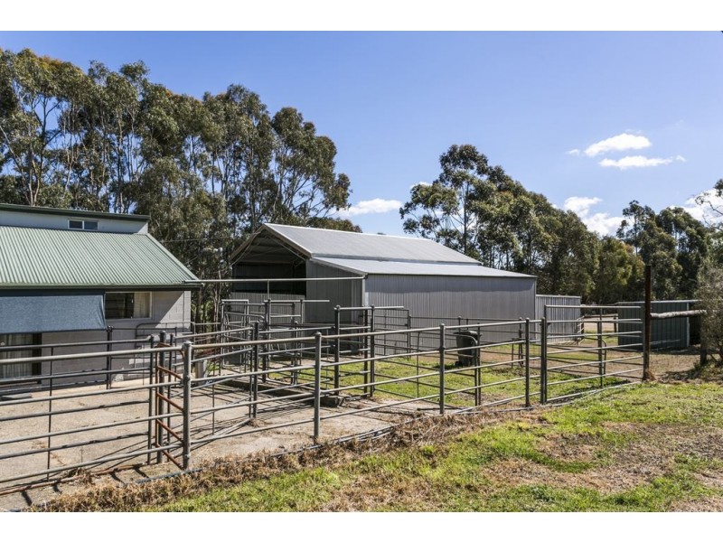 52 Jacobs Road, Cherry Gardens SA 5157