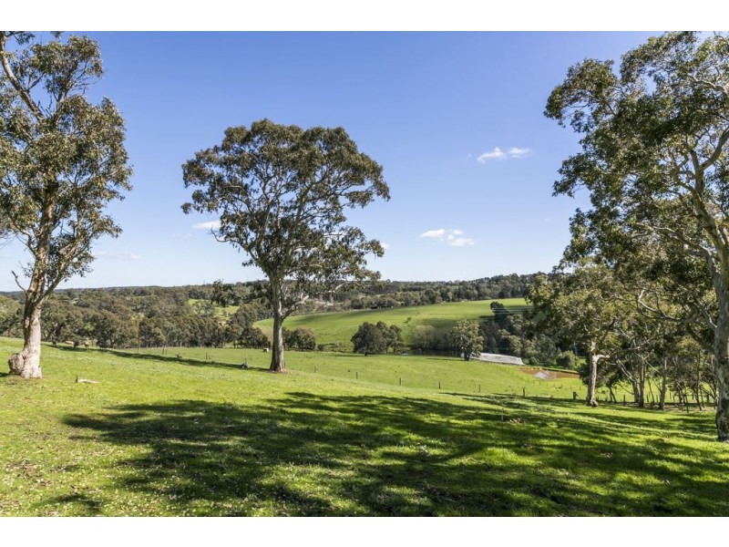 52 Jacobs Road, Cherry Gardens SA 5157