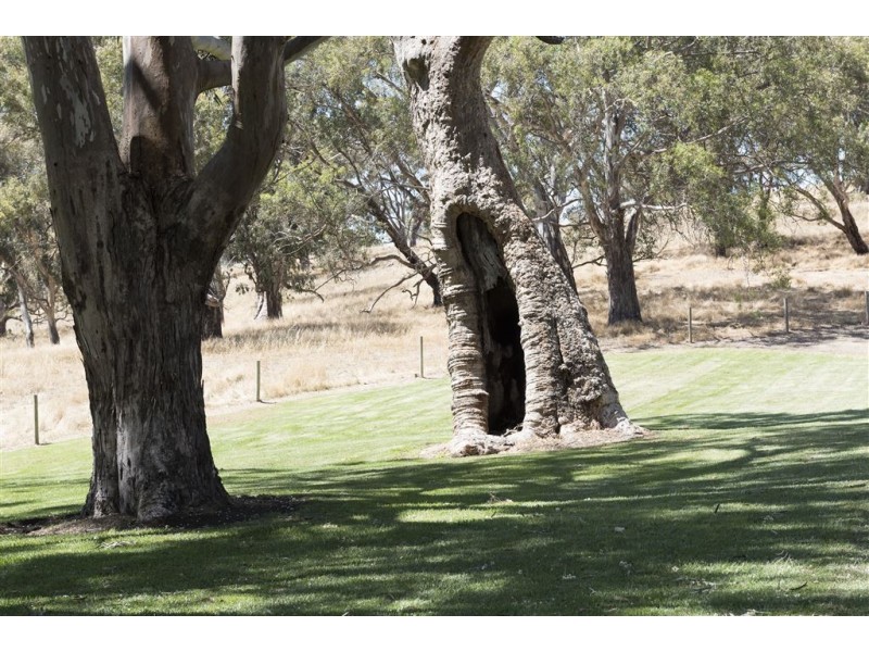 69 Petwood Road, Nairne SA 5252