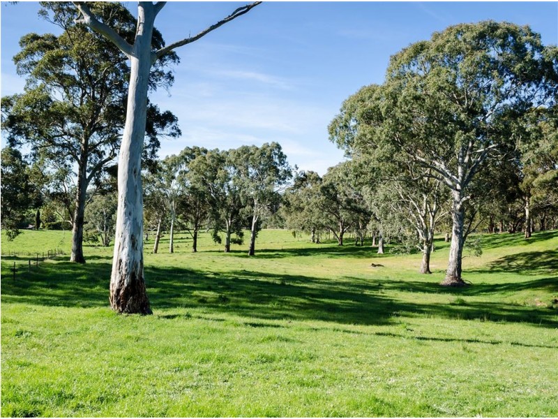 19 Martins Road, Oakbank SA 5243