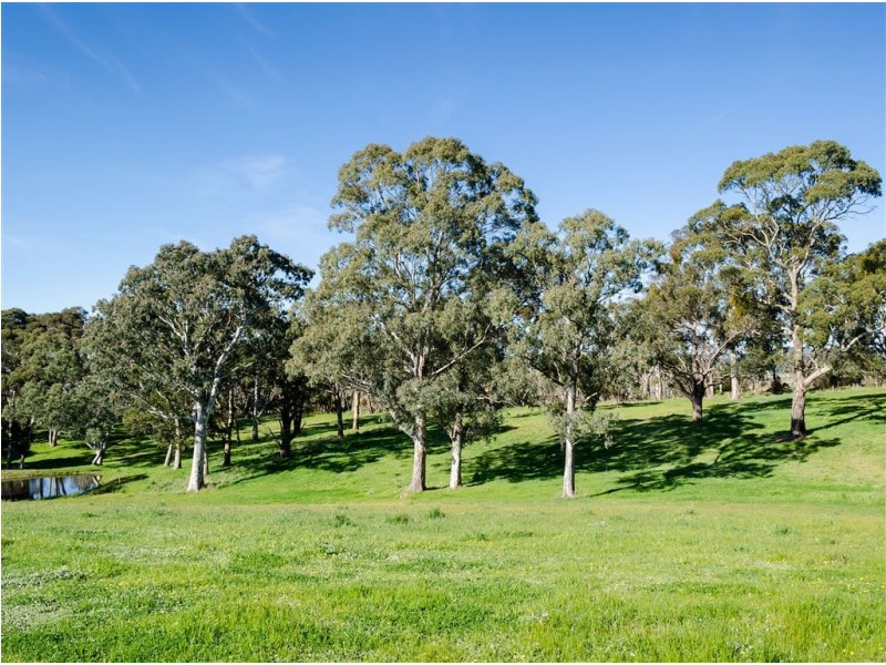 19 Martins Road, Oakbank SA 5243