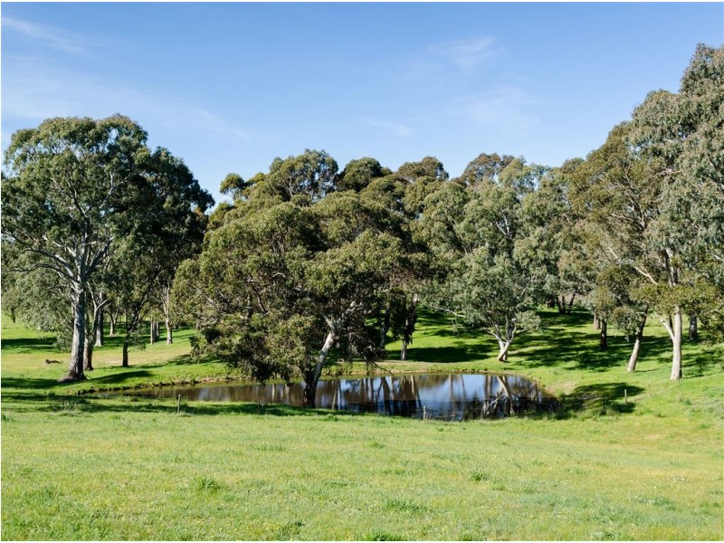 19 Martins Road, Oakbank SA 5243