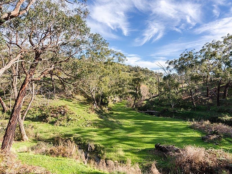 813 Scott Creek Road, Scott Creek SA 5153