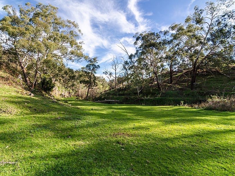 813 Scott Creek Road, Scott Creek SA 5153