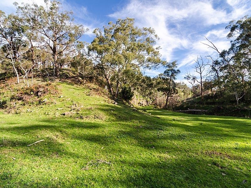 813 Scott Creek Road, Scott Creek SA 5153