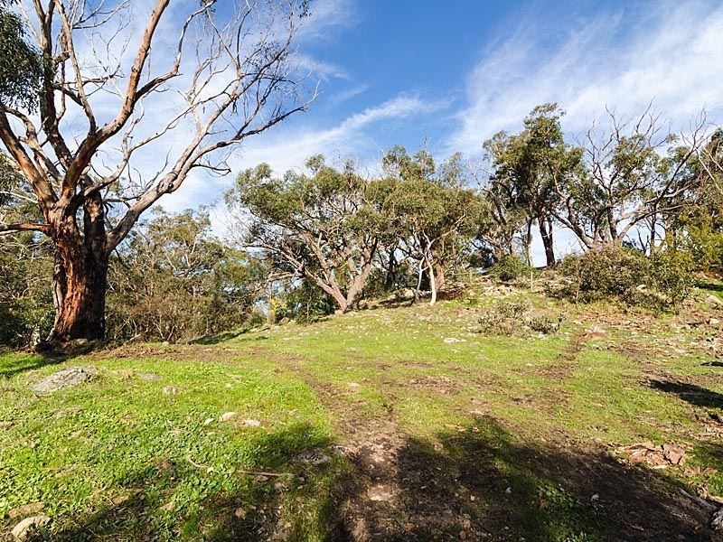 813 Scott Creek Road, Scott Creek SA 5153