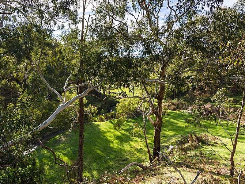 813 Scott Creek Road, Scott Creek SA 5153