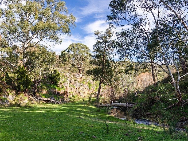 813 Scott Creek Road, Scott Creek SA 5153