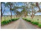 1330 Old Bull Creek Road, Paris Creek SA 5201