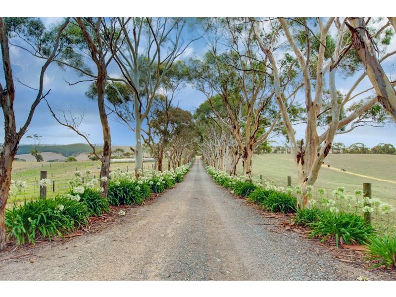 1330 Old Bull Creek Road, Paris Creek SA 5201