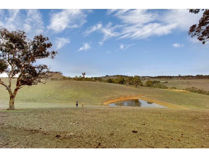 1330 Old Bull Creek Road, Paris Creek SA 5201
