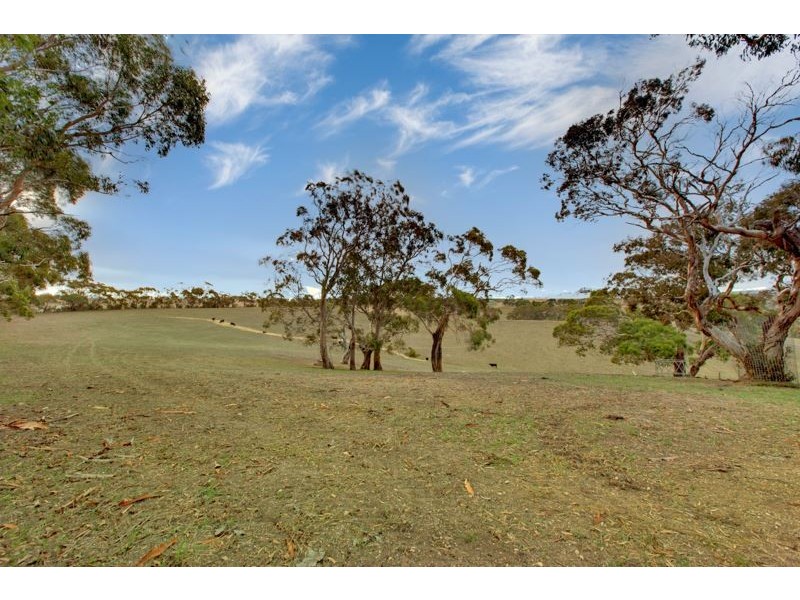 1330 Old Bull Creek Road, Paris Creek SA 5201