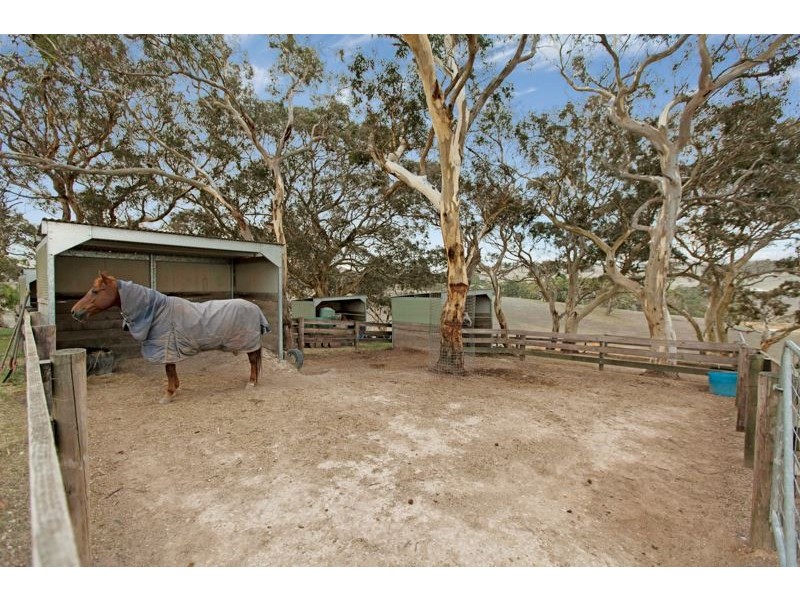 1330 Old Bull Creek Road, Paris Creek SA 5201