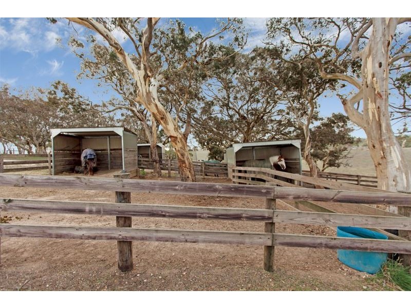 1330 Old Bull Creek Road, Paris Creek SA 5201