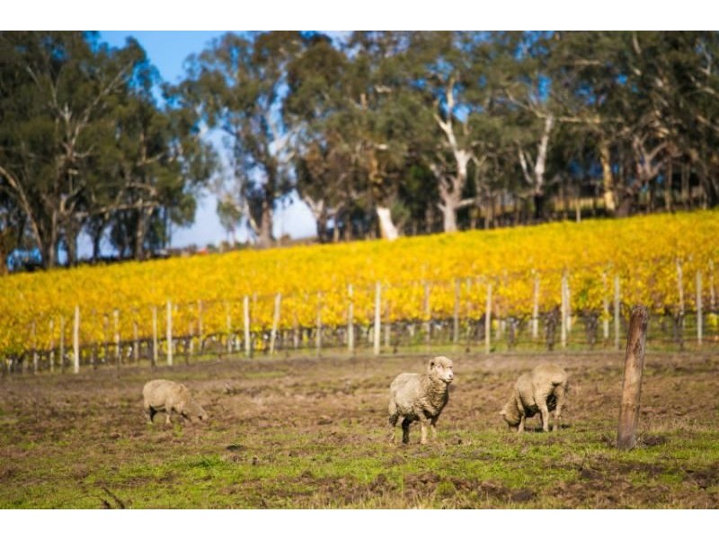 Littlehampton SA 5250