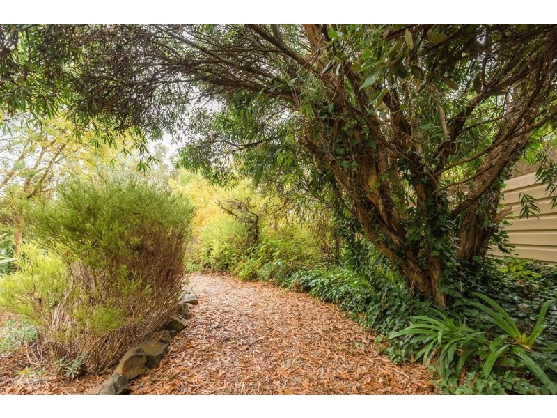 38A Olivedale Street, Birdwood SA 5234