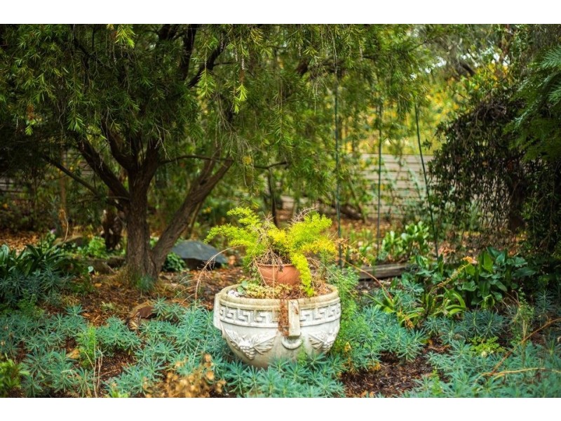 38A Olivedale Street, Birdwood SA 5234