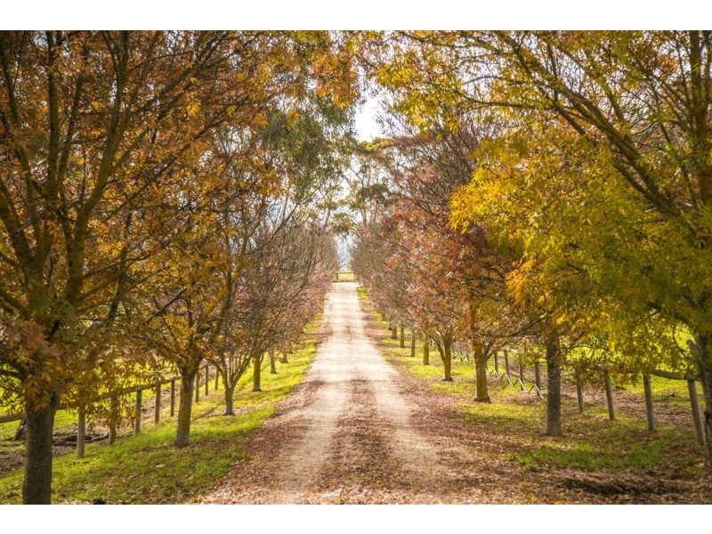 69 Brown Road, Echunga SA 5153