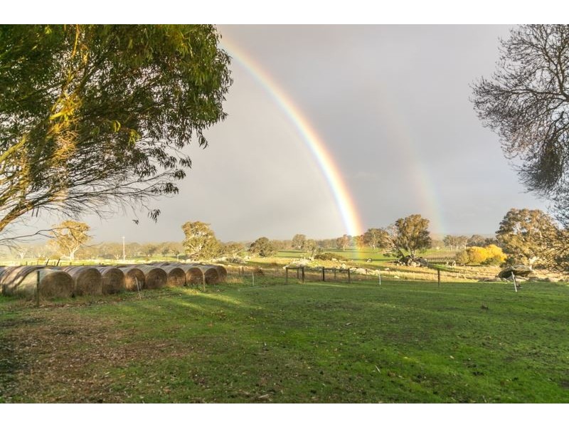 806 Springton Road, Mount Crawford SA 5351