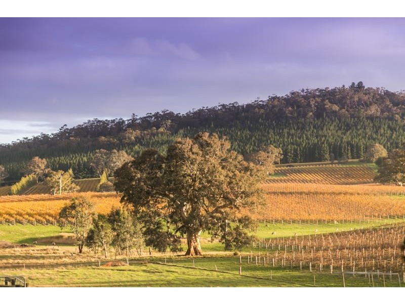 806 Springton Road, Mount Crawford SA 5351