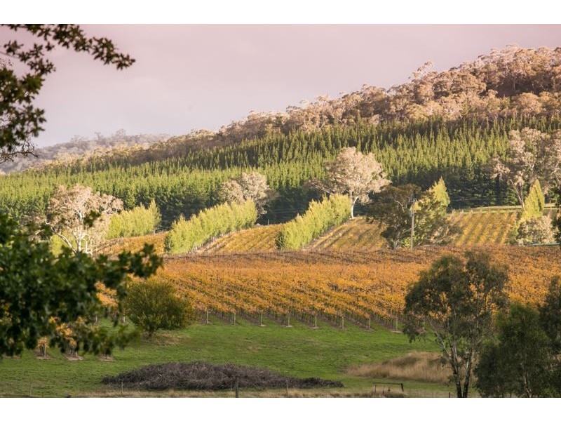 806 Springton Road, Mount Crawford SA 5351