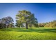 123 Pottery Road, Dingabledinga via, Mclaren Vale SA 5171