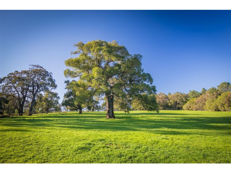 123 Pottery Road, Dingabledinga via, Mclaren Vale SA 5171