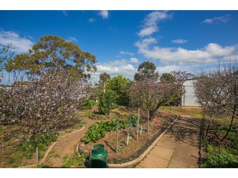 39 Murray Street, Strathalbyn SA 5255