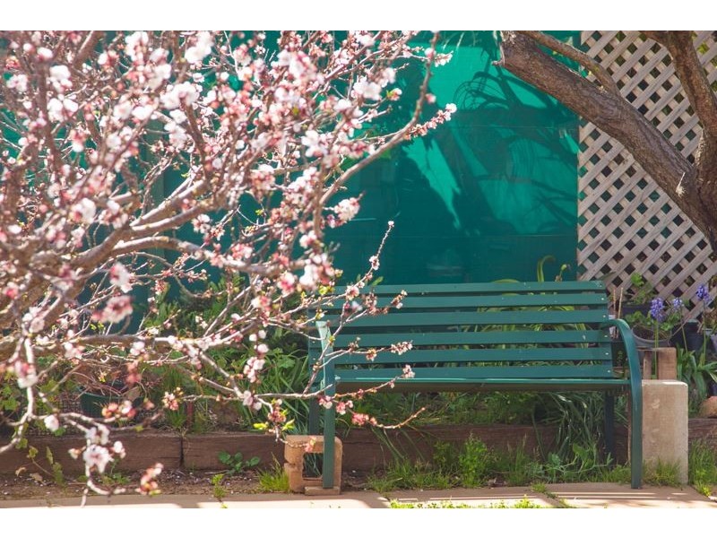 39 Murray Street, Strathalbyn SA 5255