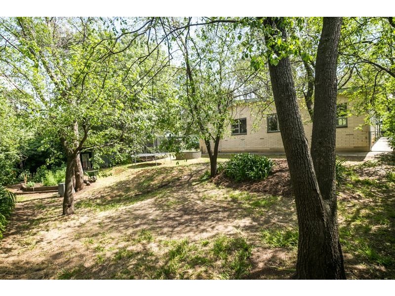 29 Chapman Street, Blackwood SA 5051