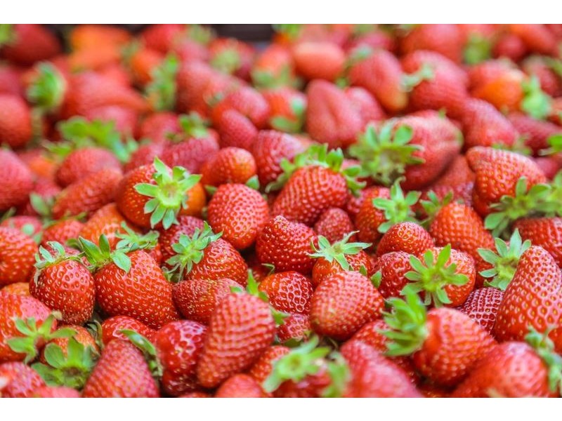 112 Netherhill Road, Kenton Valley, Gumeracha SA 5233