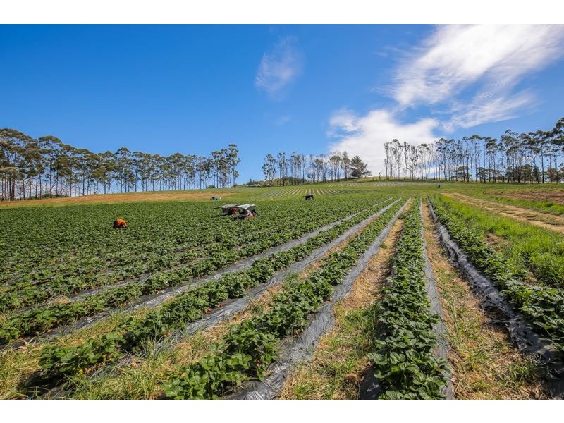 112 Netherhill Road, Kenton Valley, Gumeracha SA 5233