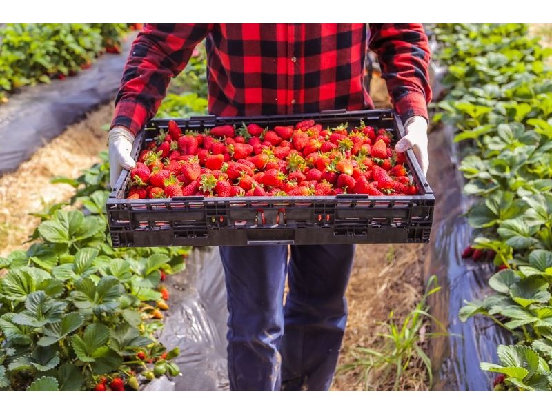 112 Netherhill Road, Kenton Valley, Gumeracha SA 5233