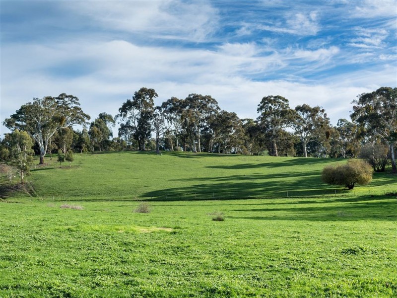 140 Swamp Road, Balhannah SA 5242