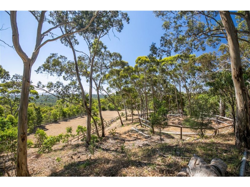 168 Olave Hill Rd (via Upper Sturt Rd M51), Hawthorndene SA 5051