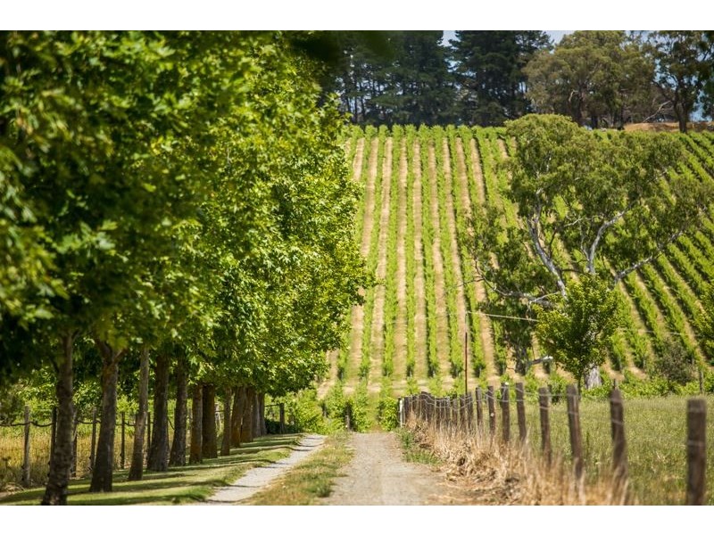 125A Jungfer Road, Charleston SA 5244