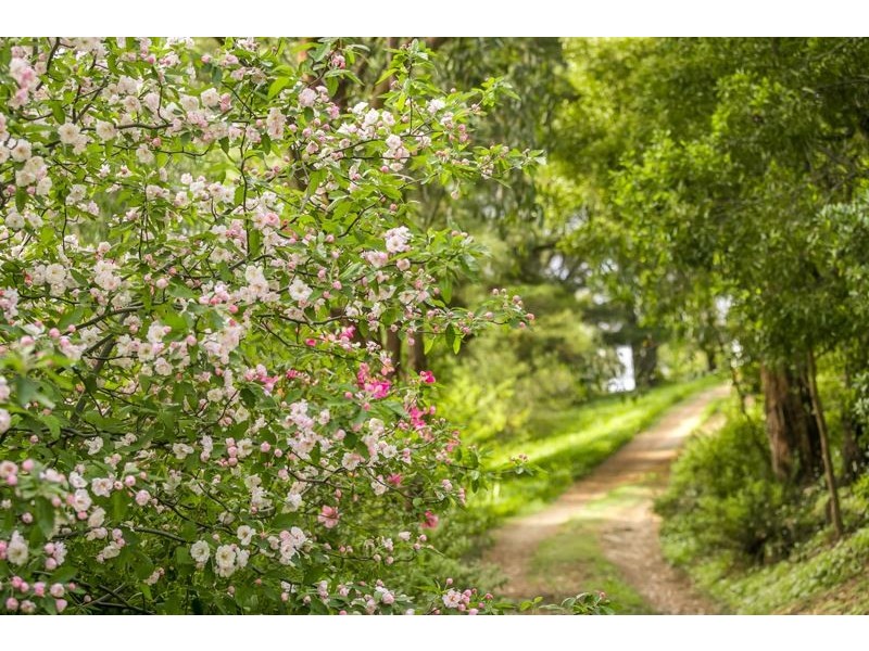 265 Marble Hill Road, Norton Summit SA 5136