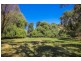 442 Cudlee Creek Road, Cudlee Creek SA 5232