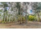13 Victoria Street, Hahndorf SA 5245