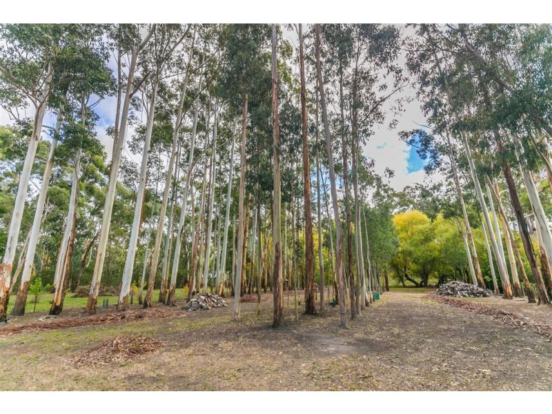 13 Victoria Street, Hahndorf SA 5245